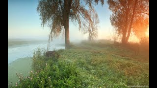 Ennio Morricone    The Lonely Shepherd