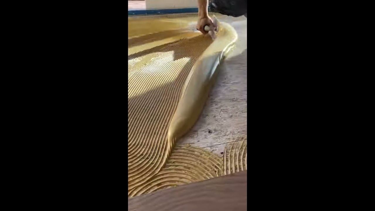 Troweling Sika T55 Flooring Glue Installation Hardwoodfloors