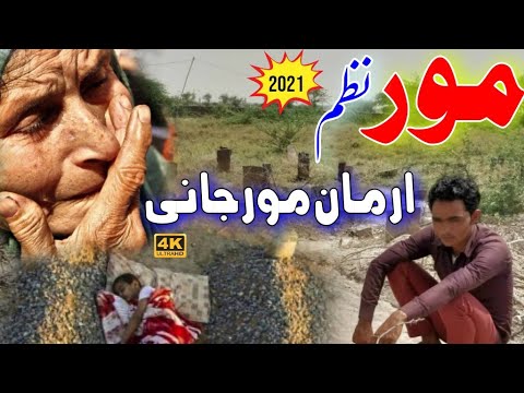 Pashto Naat 2021 Mor Nazam New 2021 Mor Nazam Sad Numan Madani Mor Naat Nayab Heera 2021 