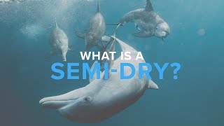 What Is A Semi-Dry? Deep Dive