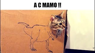 MEMES RANDOM #173