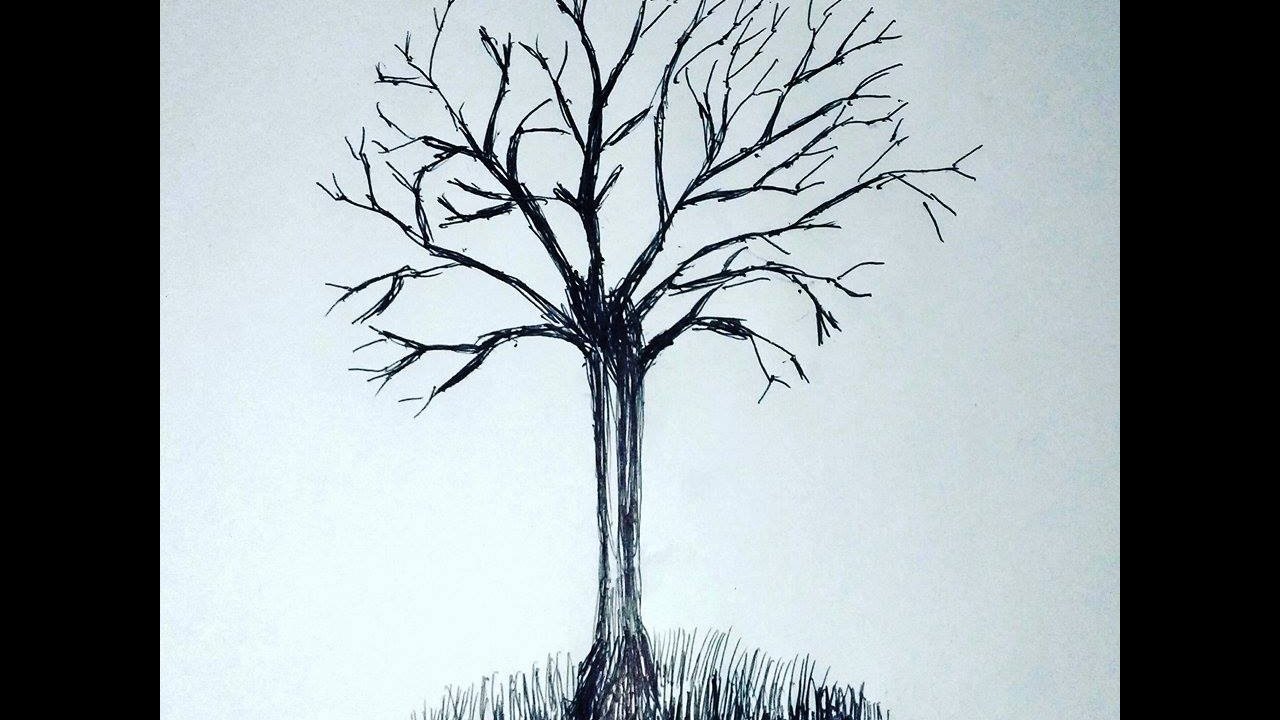 how to draw a tree without leaves