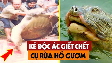 SỐC: Lộ Diện Kẻ Xuống Tay Lấy Đi Mạng Sống Của Cụ Rùa Hồ Gươm - Người Dân Việt Nam Nghẹn Ngào