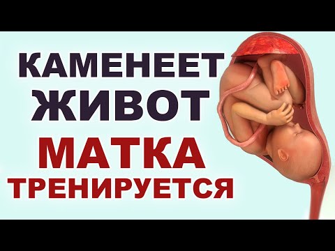 Почему каменеет живот. Тянет живот. Предвестники родов. Тренировочные схватки.