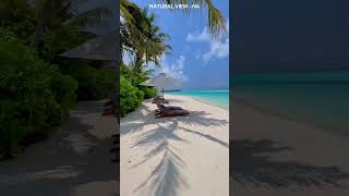 Amazing Beach #shorts #viral #beach  Maldives View