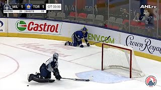 This goalie is absolutely WILD and I love it