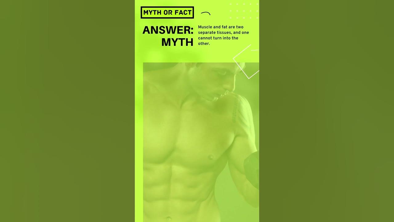 myth-or-fact-muscle-can-turn-into-fat-if-you-stop-working-out