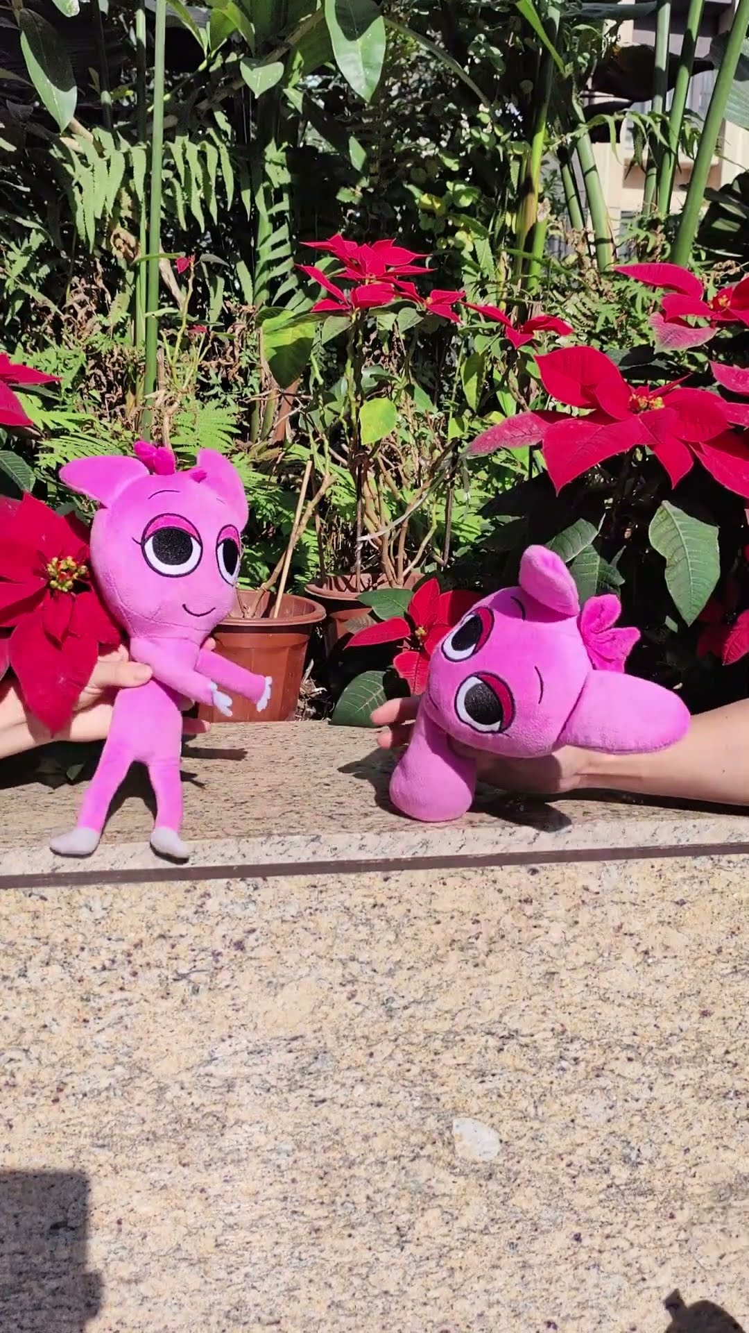 Pinki boyfriend no \u0026 yup