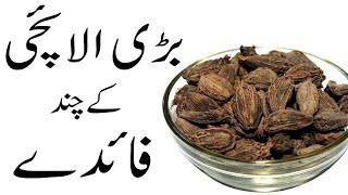 Bari Elaichi Khane ke Fayde | Benefits of Eating Black Cardamom