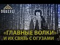 Oğuzeli - "Главные волки" и их связь с огузами. (Башкиры и Азербайджанцы)