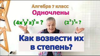 Алгебра 7 класс. Возведение одночленов в степень. Свойство возведения степени в степень. Примеры.