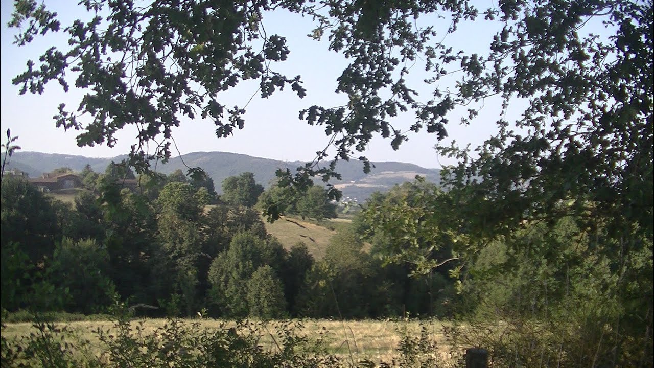 En direction du Bessy au dessus de Roche-La-Molière le 12 Août 2025 En direction du Bessy au dessus de Roche-La-Molière le 12 Août 2025