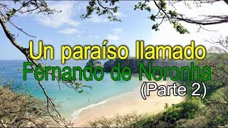 🇧🇷 Fernando de Noronha: la PLAYA MÁS BONITA de Brasil (parte 2)