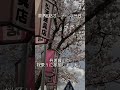【RX8】エイトで花見が最高すぎた