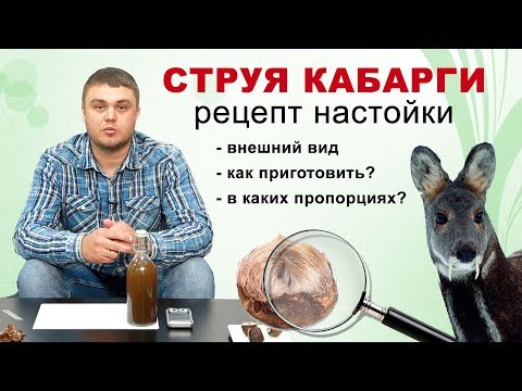 Струя кабарги как приготовить настойку? Мускус кабарги правильный рецепт.