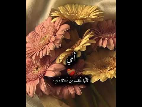 هي امي ومامني واماني وامنياتي وإنتمائي بها اڰتفي ودونها انتهي الله يرحمک يا أمي