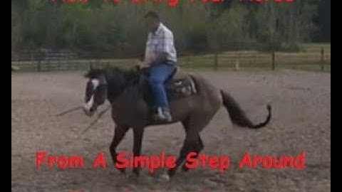 How to advance a horse from starting the reining spin to building it a true reining spin.