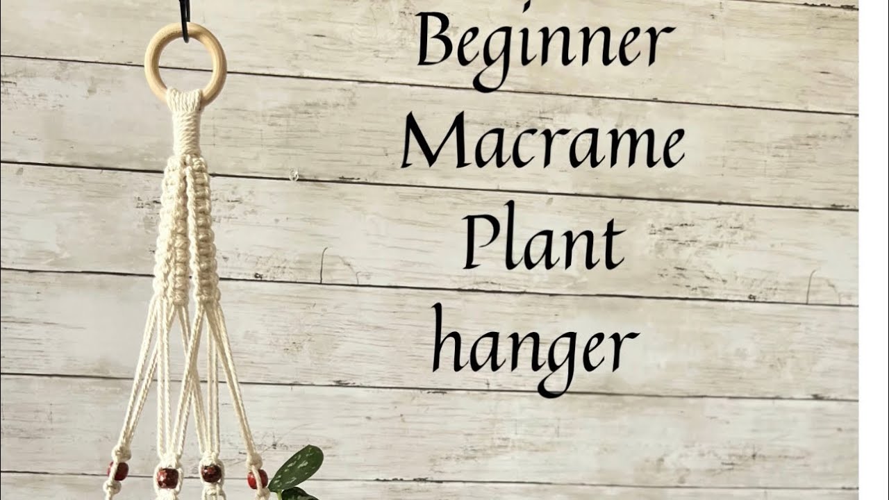 Macrame Kit, Makes 3 DIY Plant Hangers for Teens & Adult Beginners, Craft  Supplies for Boho Art Project-3 Custom Color Macrame Cord, Wooden Rings 