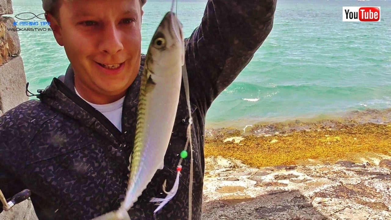 Wędkarstwo Morskie | Jak łowić Makrele ? | Poradnik Wędkarski