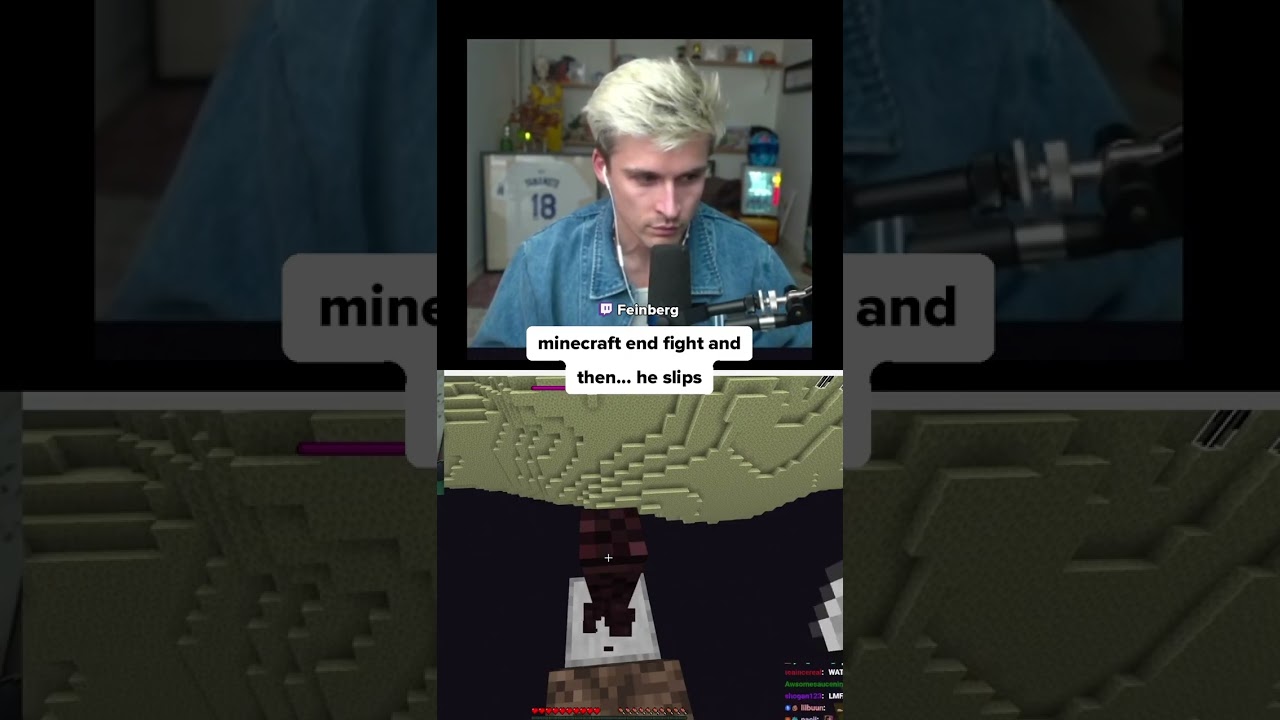 minecraft end fight and then his brain turns off