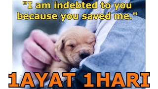 [1Sentence 1Day] 84- How to say 'I am indebted to you because you saved me.'