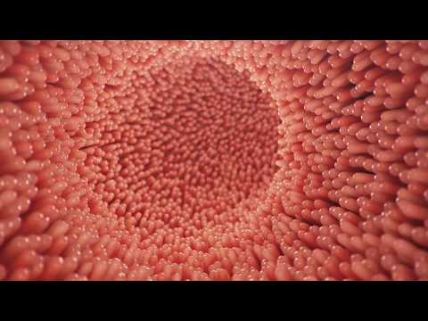Minimally Invasive Diagnostics For Patients With Troublesome Digestive Symptoms