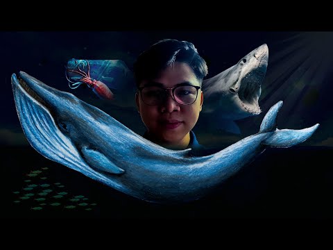 Video: Sinh vật biển thuộc thể loại nào?