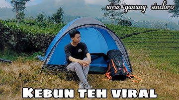 viewnya keren!! kebun teh tambi wonosobo yang lagi viral
