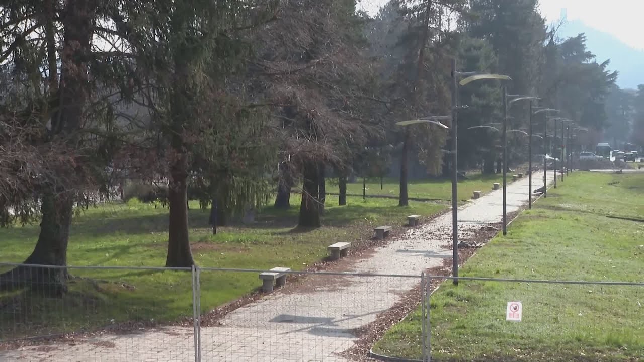 Ciliegi del Tempio Voltiano di Como