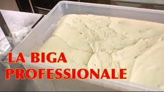 Pizza and pizza bread with 48 hours biga dough