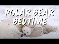 Polar Bear Cubs Sleeping Peacefully With Their Mother (ASMR relaxation)