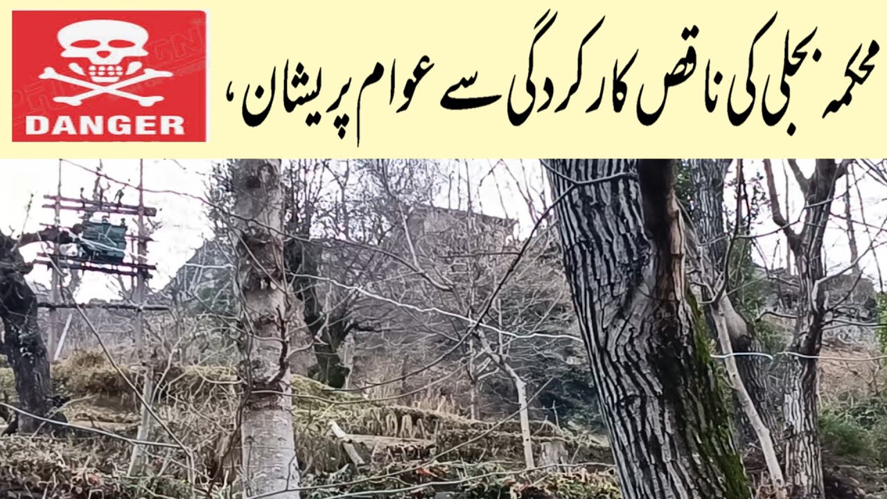 Wires hanging over green trees — a result of the electricity department ...
