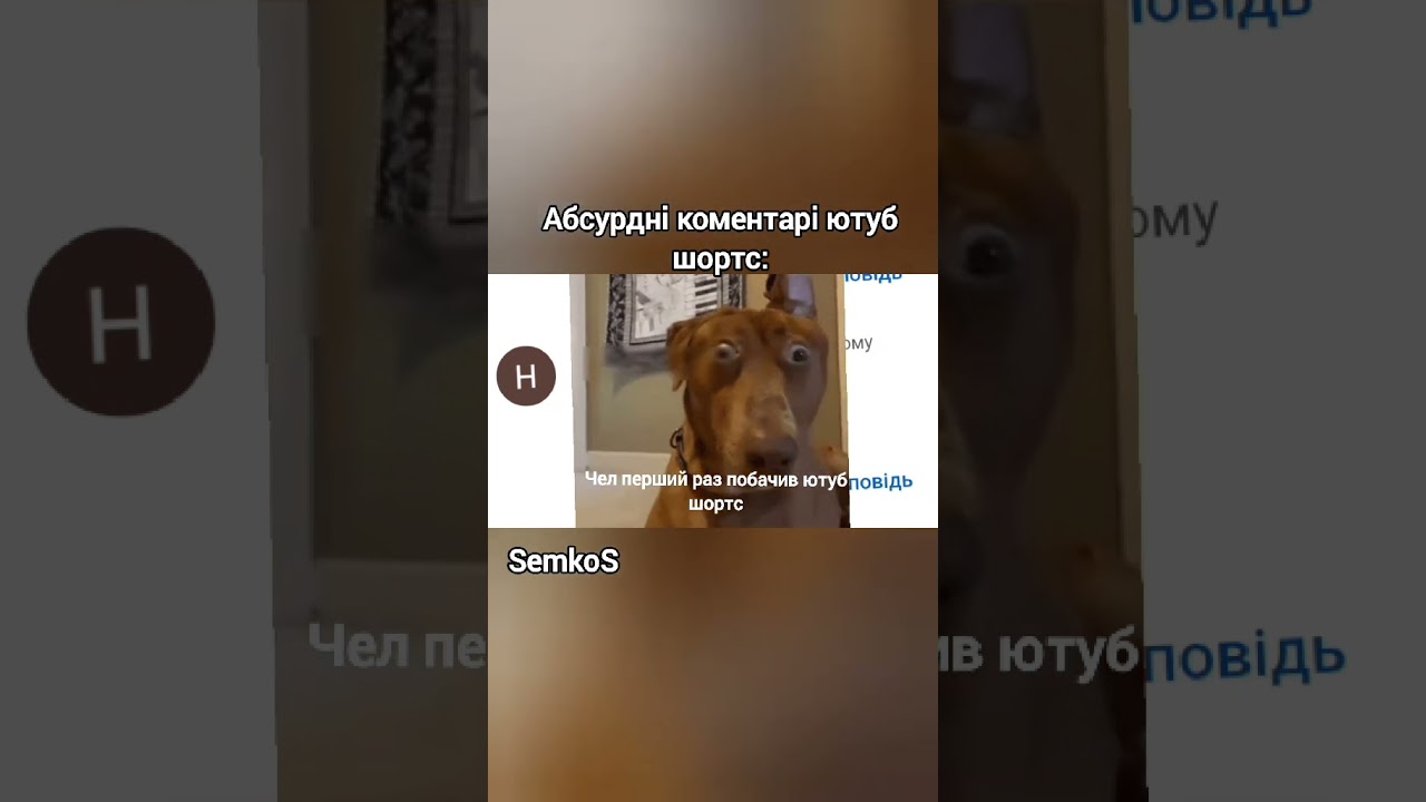 Абсурдні Коментарі Шортс: 