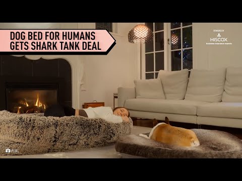 Videó: Ez a cég csak létrehozta a „második legjobb kutyaágyat a világban”