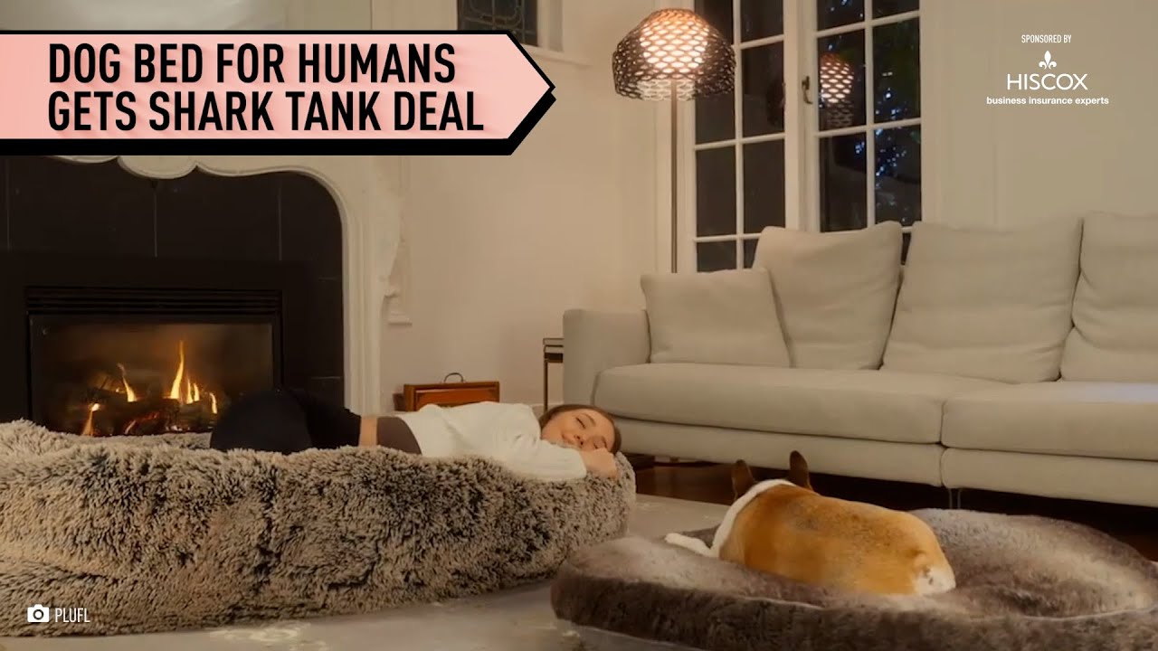 Two recent college graduates create the world’s first dog bed for humans