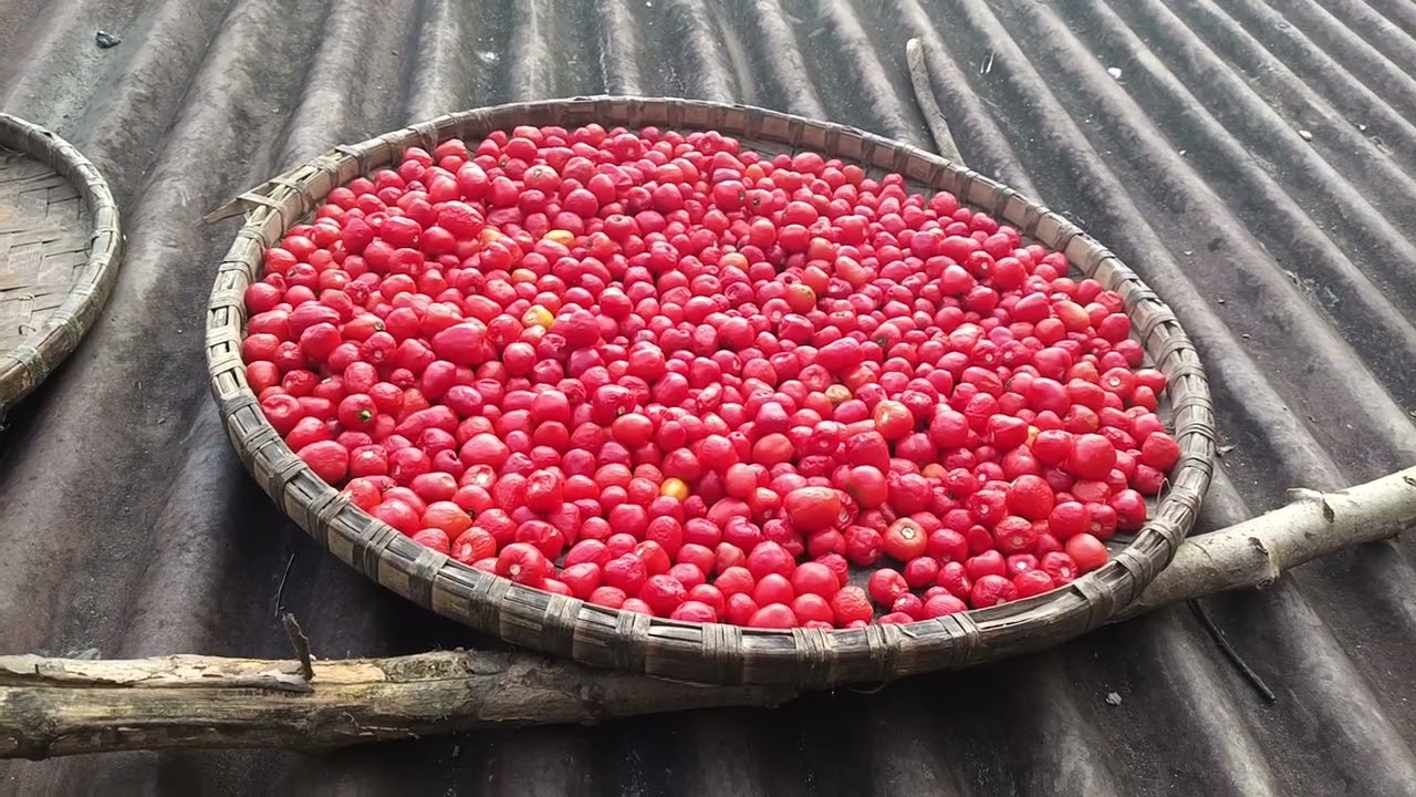 Dolaa khasani khanu hos.