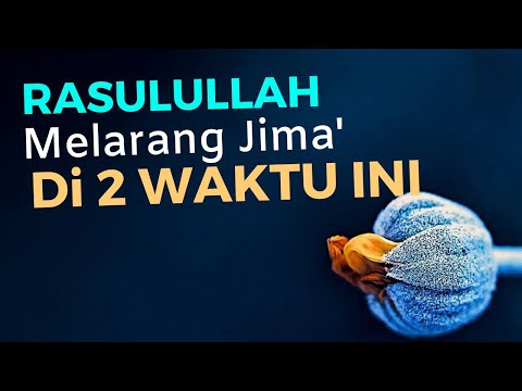 2 Waktu Rasulullah Melarang Jima&#39;