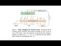 TERMINATOR: Learning Optimal Exit Points for Early Stopping in Chain-of-Thought Reasoning