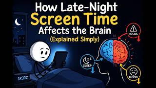 How Late Night Screen Time Affects The Brain