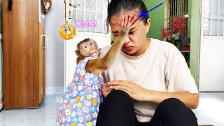Sorry mom.... ! Monkey LyLy scratched her mother's face and Lyly felt worried