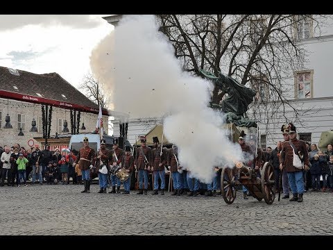 Videó: Majomgolyó Elhomályosítja A Forradalmat