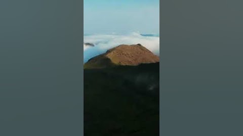 Faroe Island#tourism #shortsonyoutube