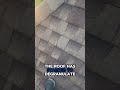 Can You Guess What Those Dark Spots Are On The Roof? 👀