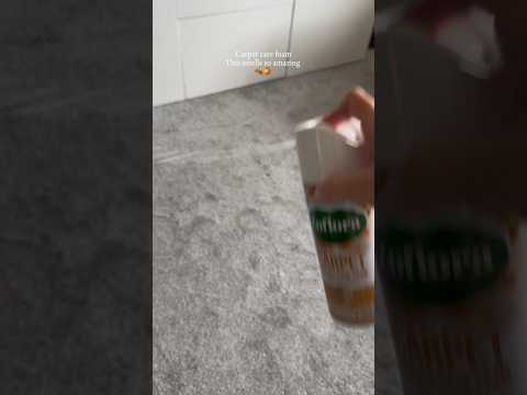 Carpet care foam 🍂🍊 #cleantok #carpet #carpetcleaning #foam #spray #brush #lines #carpets #asmr
