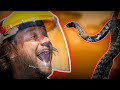 AS 10 SERPENTES MAIS PEÇONHENTAS DO MUNDO! | RICHARD RASMUSSEN