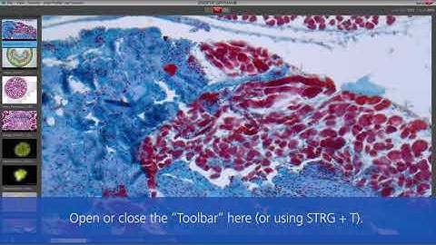 JENOPTIK GRYPHAX® Microscope Camera (2) – Software Interface