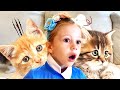 Nastya et sa routine quotidienne avec des chatons