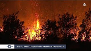 Incendie près de Carcassonne : 900 hectares détruits, pas de victime