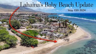 Lahaina Maui  Baby Beach Update  9 Months After the Fire