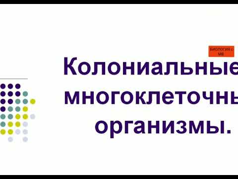 Видео: В чем разница между одноклеточными колониальными и многоклеточными организмами?